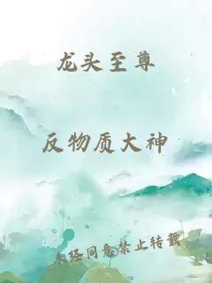 龙头至尊
